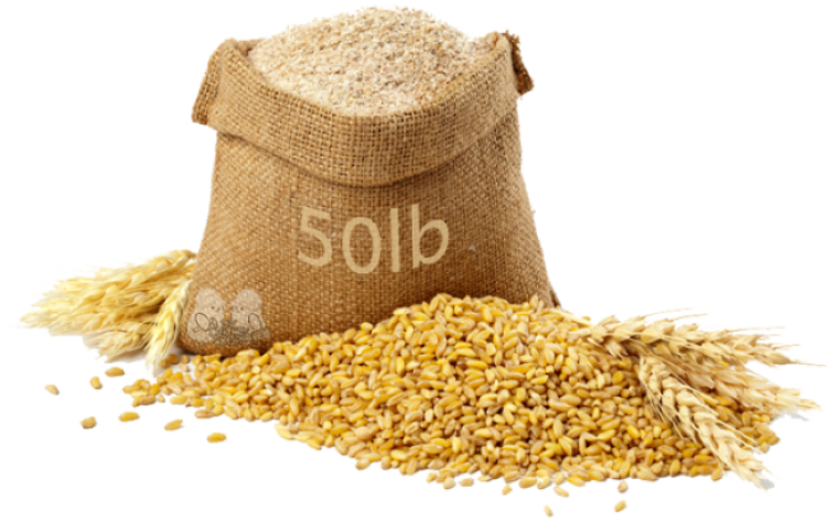 Poultry Feed
